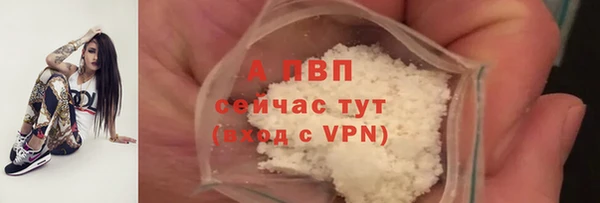 индика Алексин