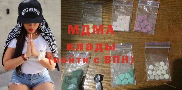 индика Алексин