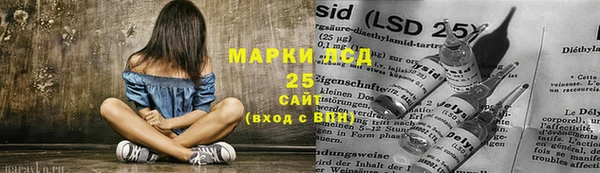 индика Алексин