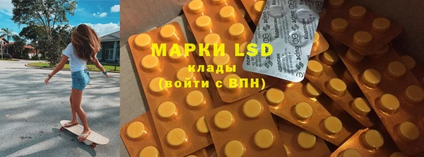индика Алексин